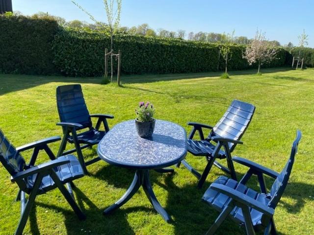 Appartement Grenzblick In Isselburg-anholt *
